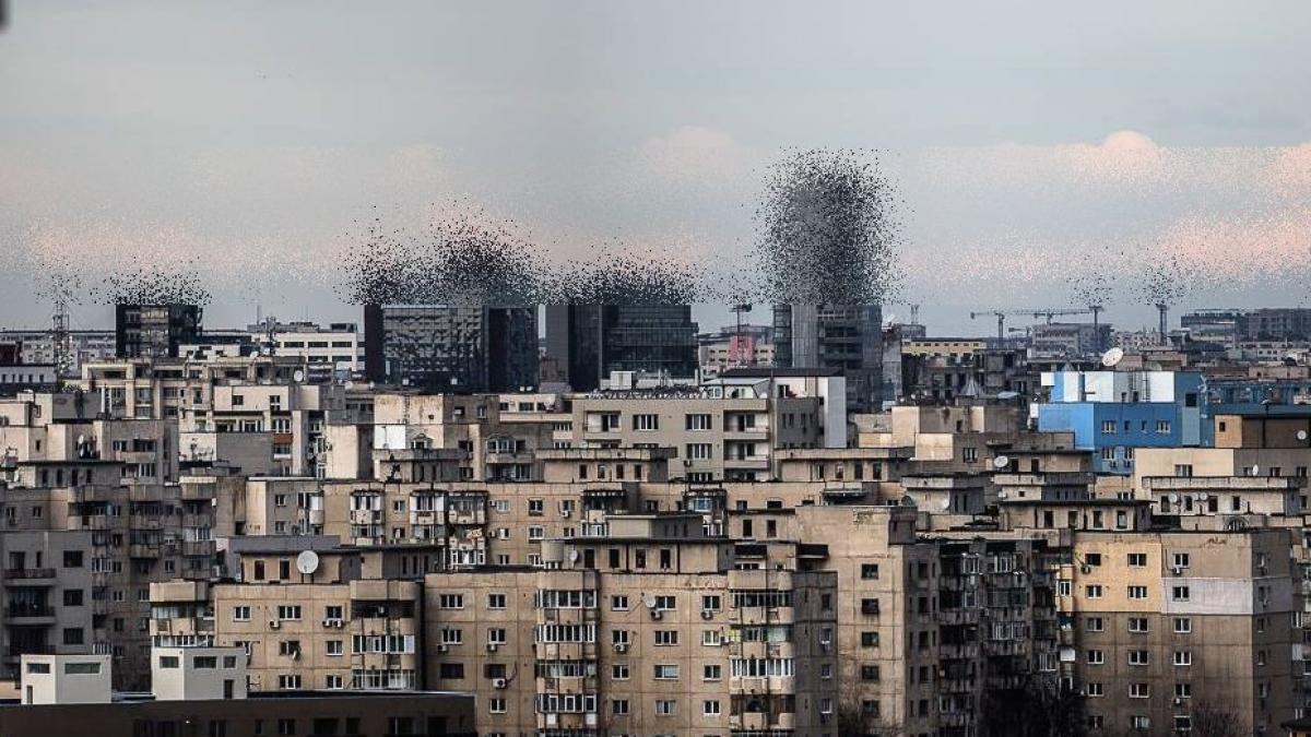 bucuresti un oras plin de surprize uite ce a aparut la orizont in urma cu cateva minute