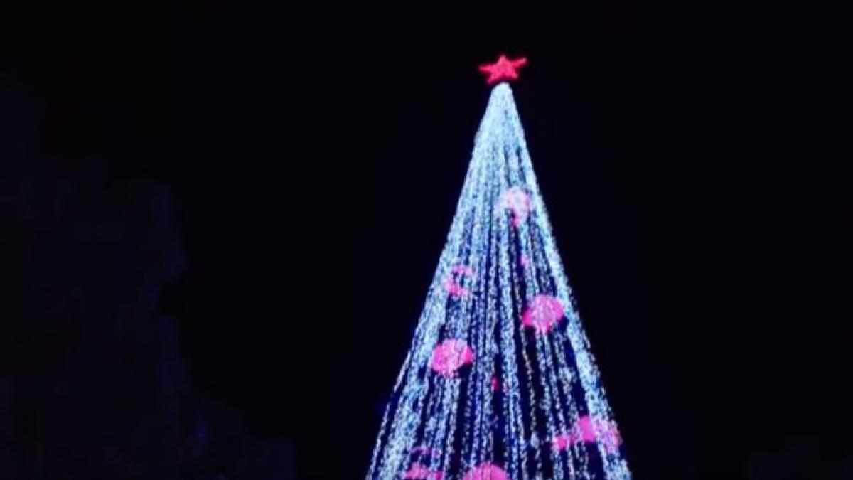 cartea recordurilor cel mai luminat brad de craciun