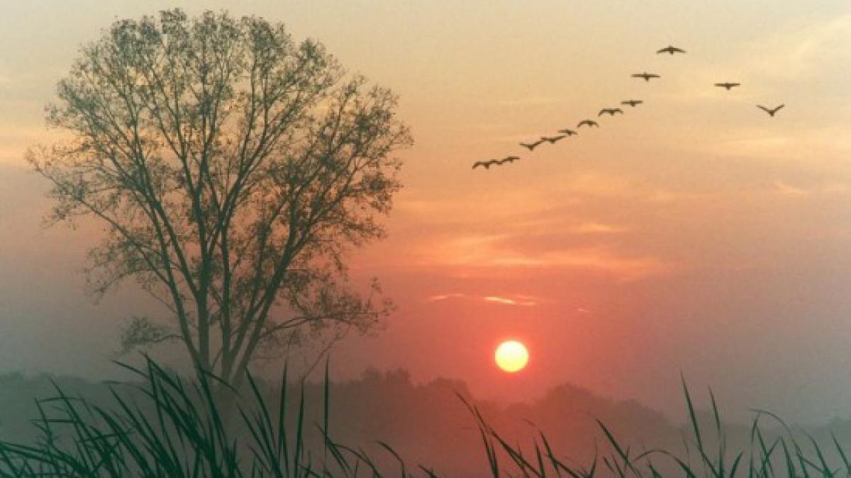 vreme anormal de calda la inceputul iernii