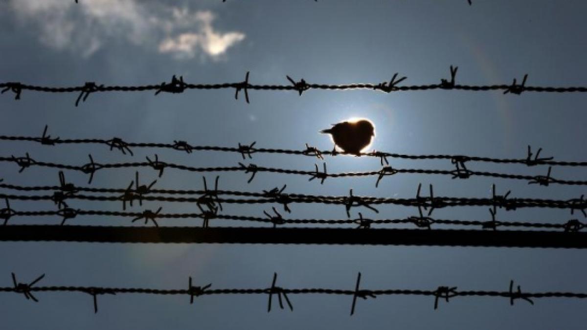 cameron bulgaria exemplu de succes in protejarea granitei externe a ue