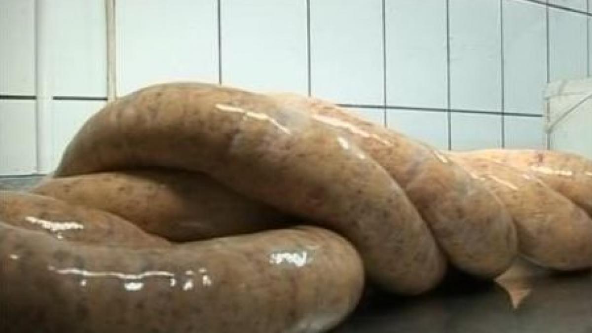 produs in tara ta mezeluri