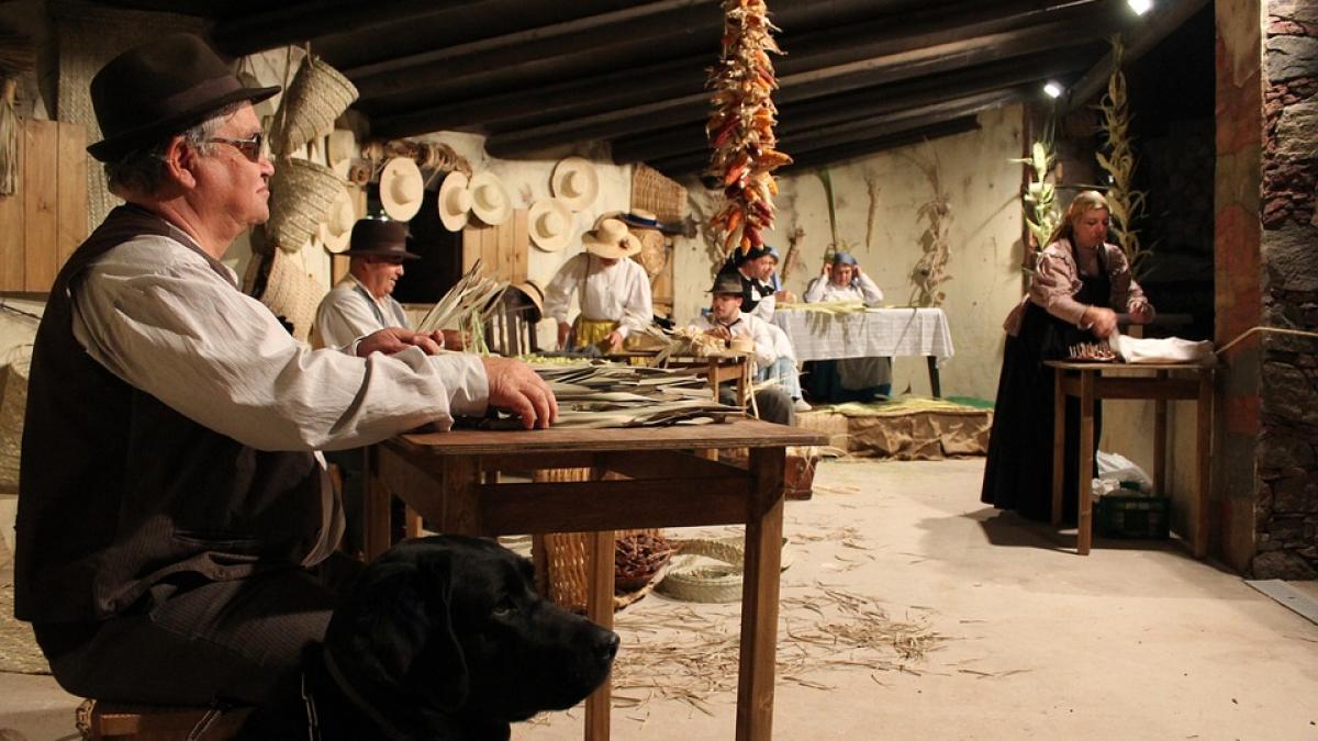 romania studiu batrani spatii popor