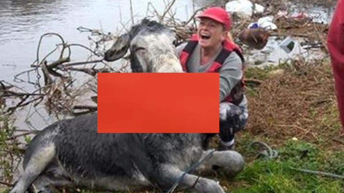 ce a facut un magarus dupa ce a fost salvat de la inec oamenilor nu le venea sa creada