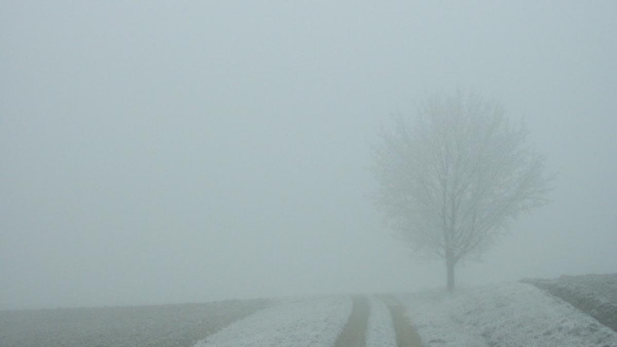 cod galben ceata prognoza meteo