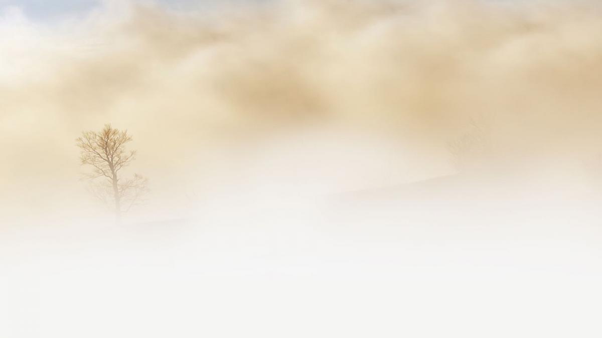 cod galben de ceata si vizibilitate redusa in 32 de judete si municipiul bucuresti