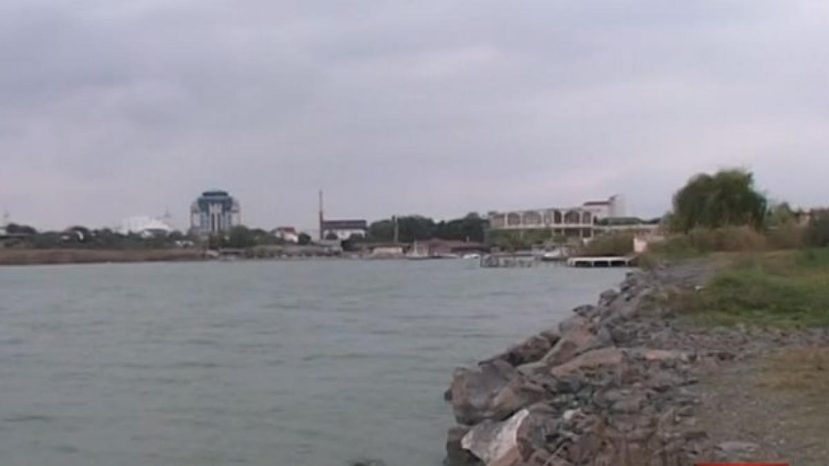 afaceri primaria navodari nicolae matei