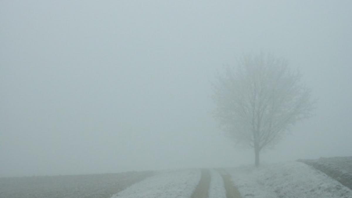 cod galben de ceata in patru judete din tara