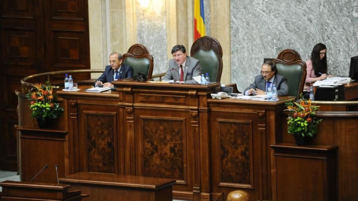 senatorii sunt mari amatori de frumos dau milioane de la buget pentru flori exotice