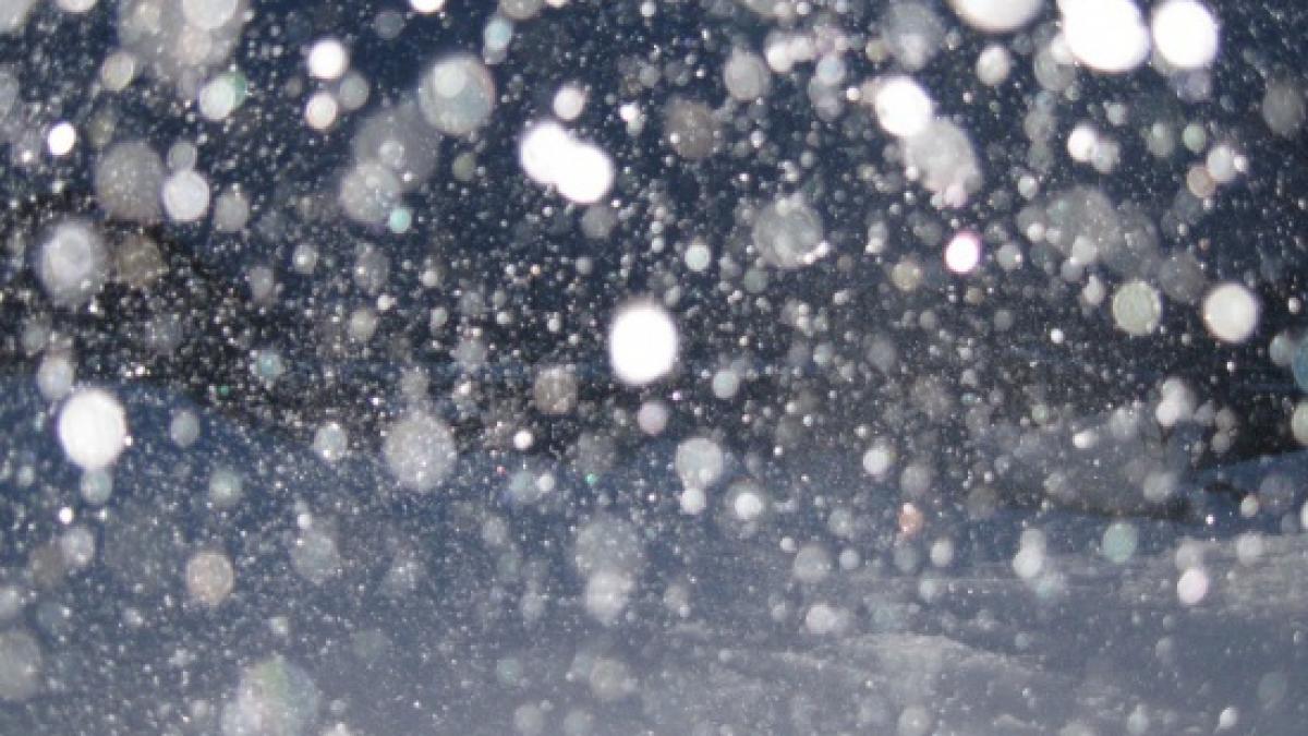 vremea prognoza meteo ninsori