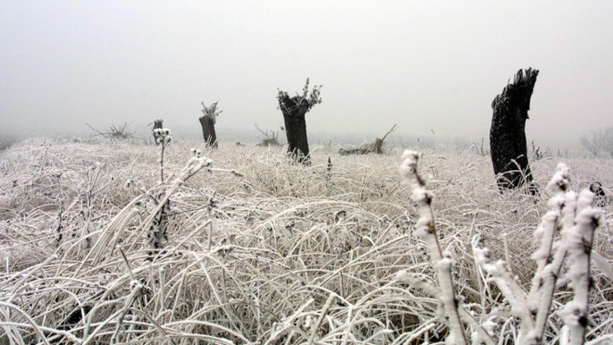 vremea prognoza meteo