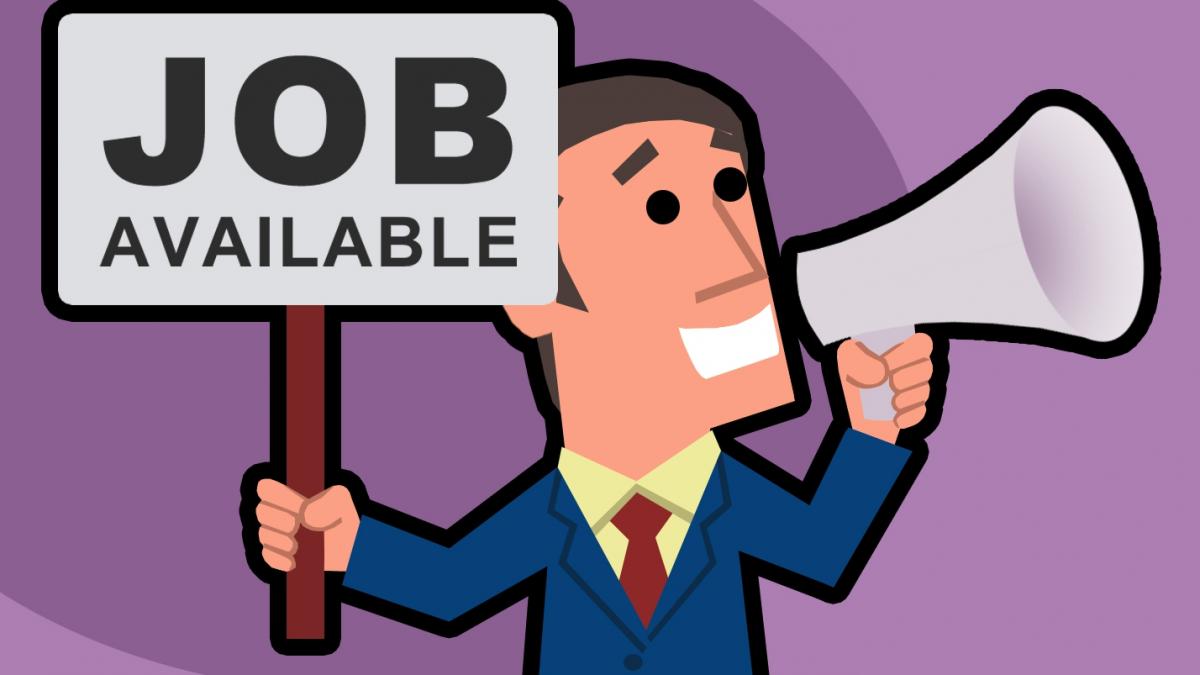 o mare companie face angajari in bucuresti si in tara