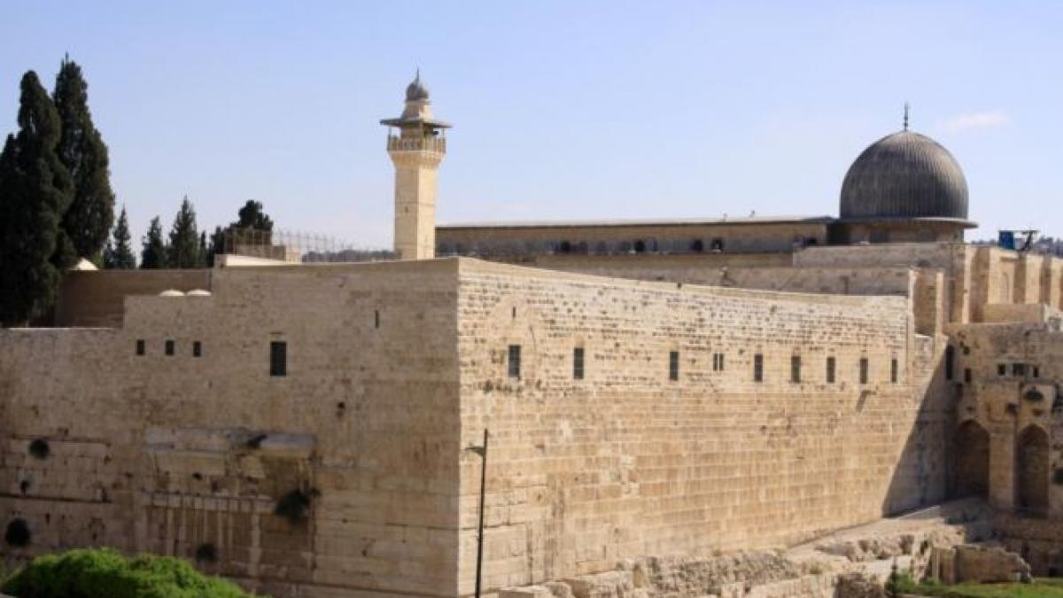 alegeri arabia saudita femei consilier municipal