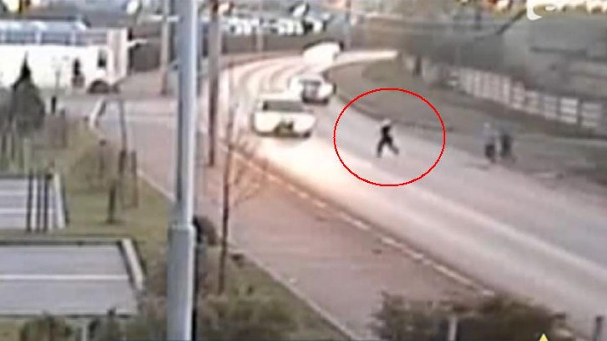 copil lovit de o masina in timp ce fugea de o haita de caini