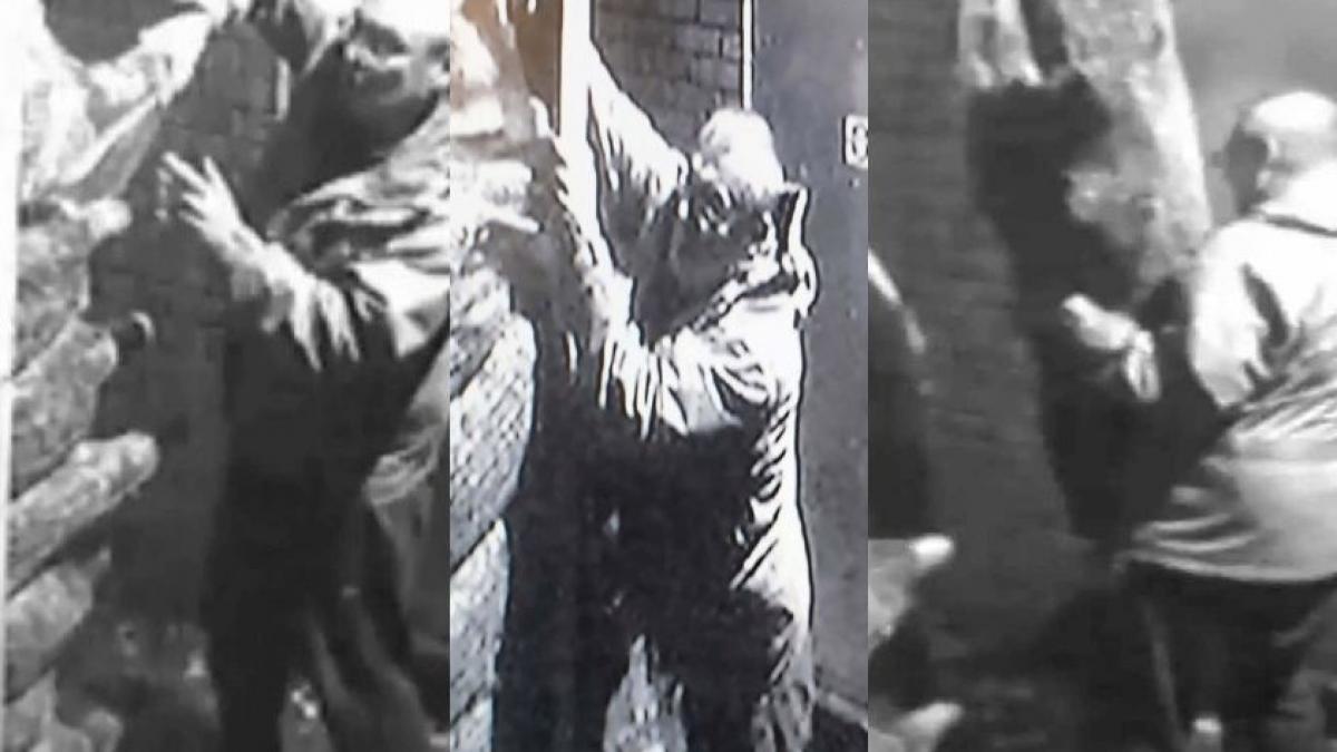 grinch exista dupa ce a furat spiritul craciunului acum a dat lovitura intr un depozit de brazi