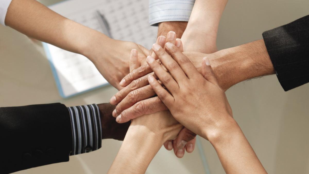 job de 8 000 de dolari pe luna la bucuresti ce trebuie sa faci pentru a l obtine