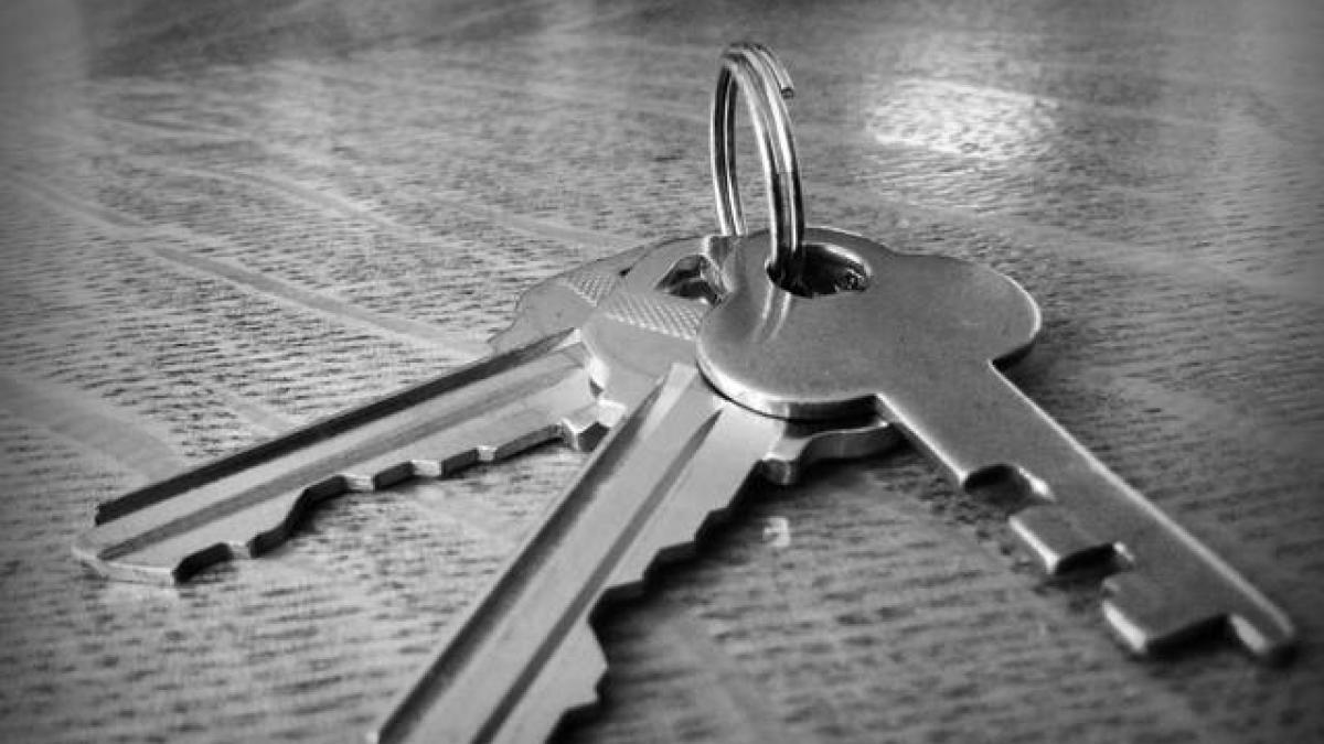 bce legea darii in plata risca sa loveasca in economie si poate induce hazard moral