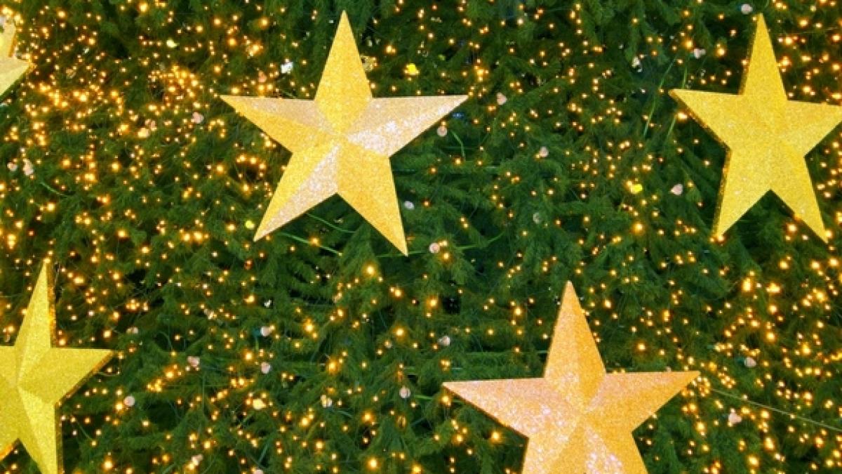 bradul artificial de craciun periculos pentru sanatate