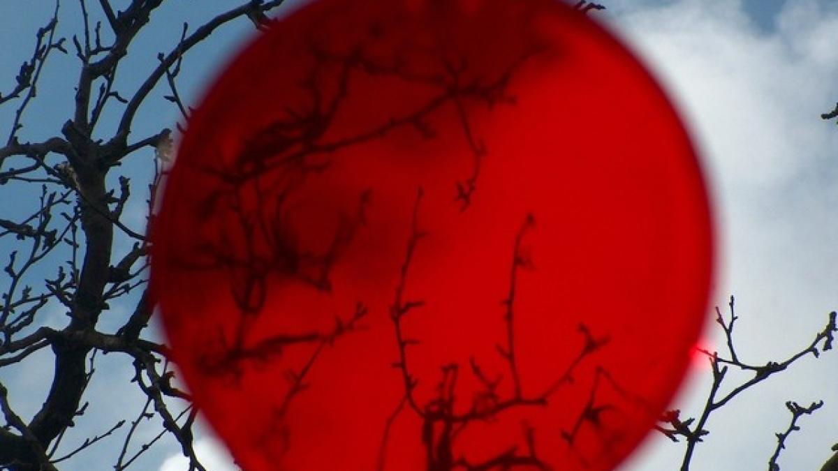 cetatenii romani pot calatori in japonia fara viza