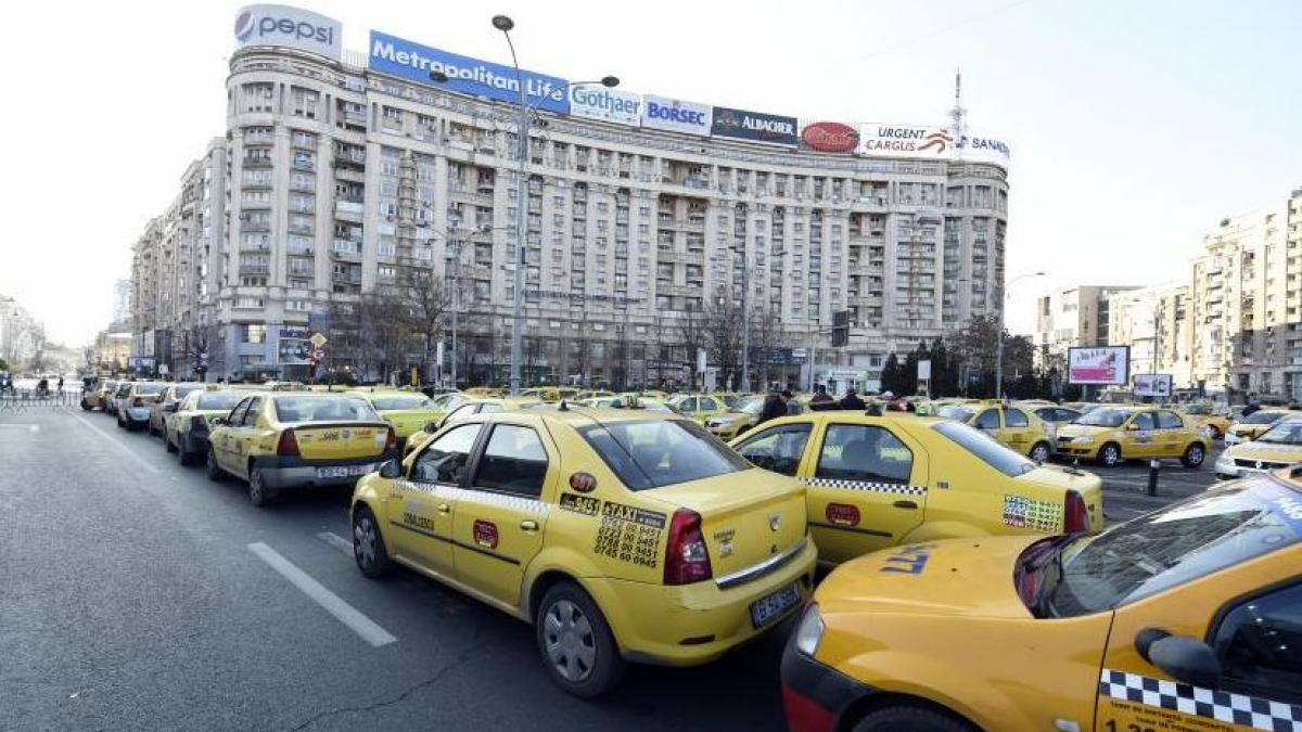 rca transportatori daily maniutiu soviani