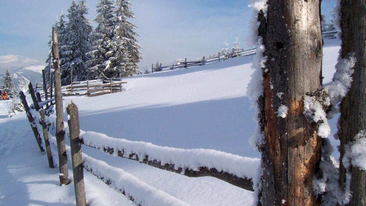 cum va fi vremea in urmatoarele zile