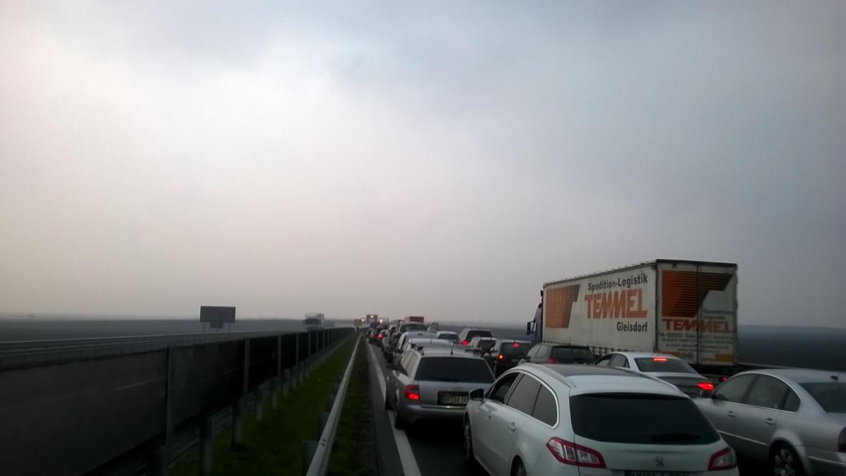 trafic infernal vami vest