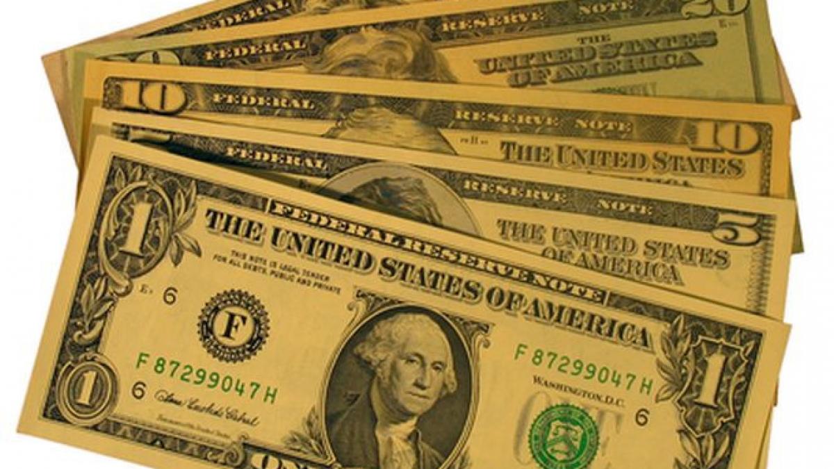 chelner cinstit bani