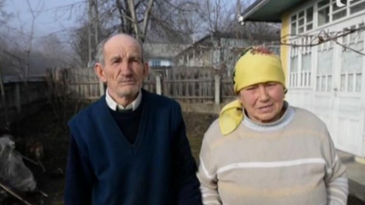 primar botosani case