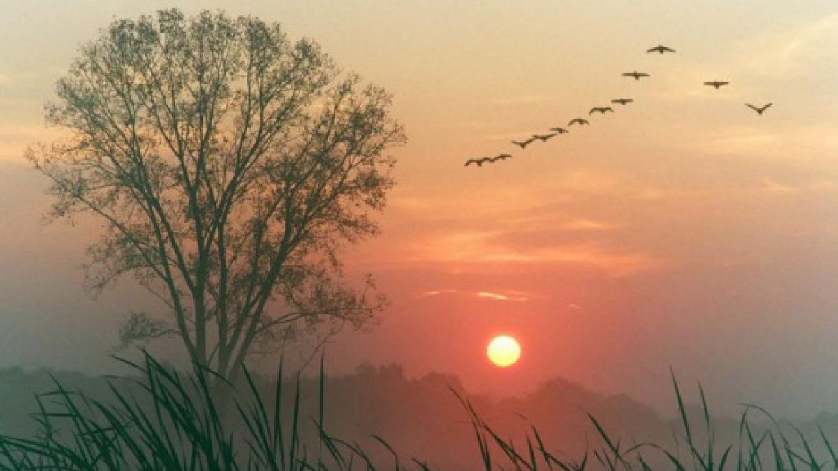 temperaturi istorice primavara inaintea craciunului