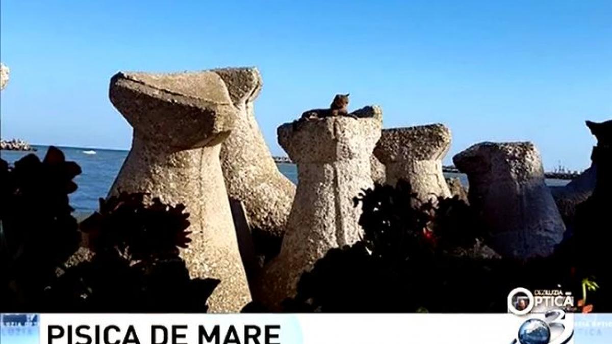 deziluzia optica pisica de mare