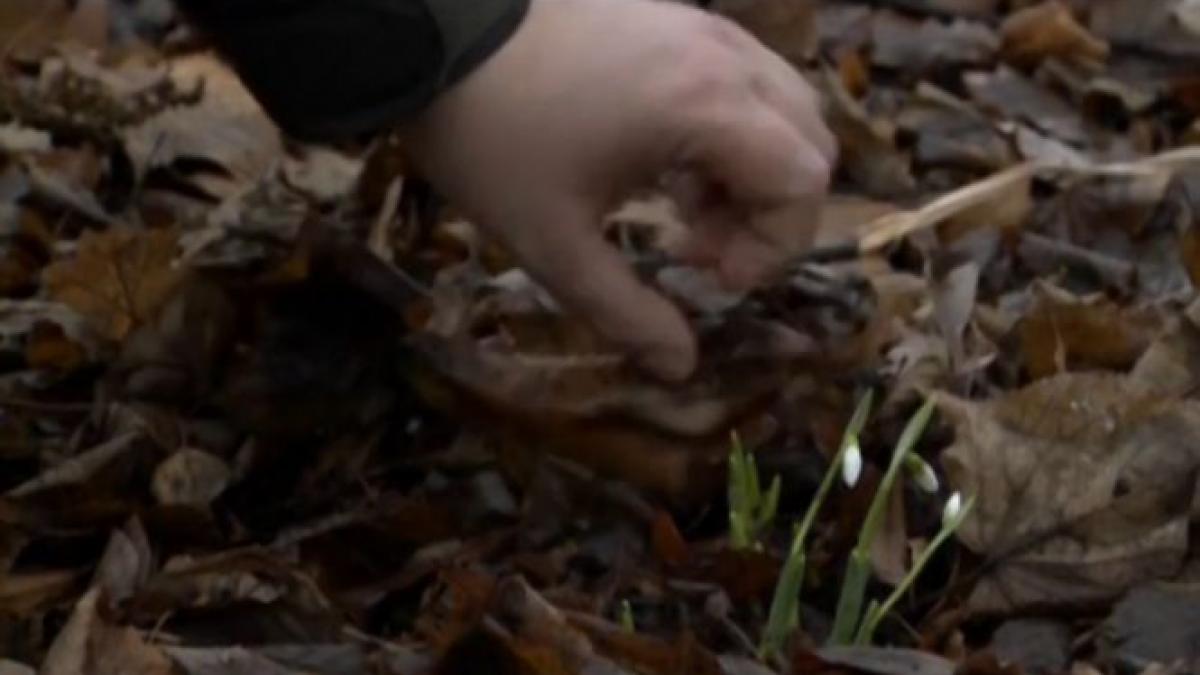 craciun temperaturi moscova ghiocei