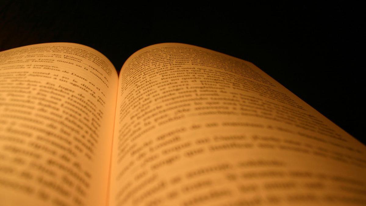 nu esti destept cu citate