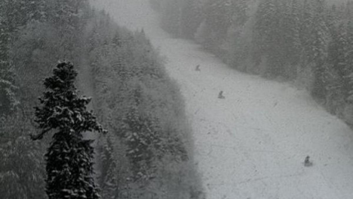 partie poiana brasov iarna