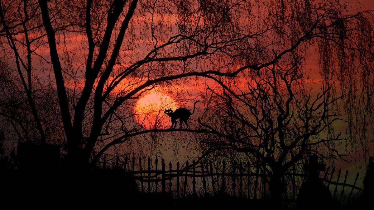 practici magice transilvania