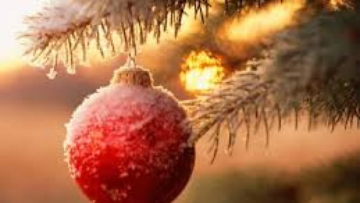 sarbatori fericite google sarbatoreste craciunul cu un nou doodle cele mai calde mesaje de craciun