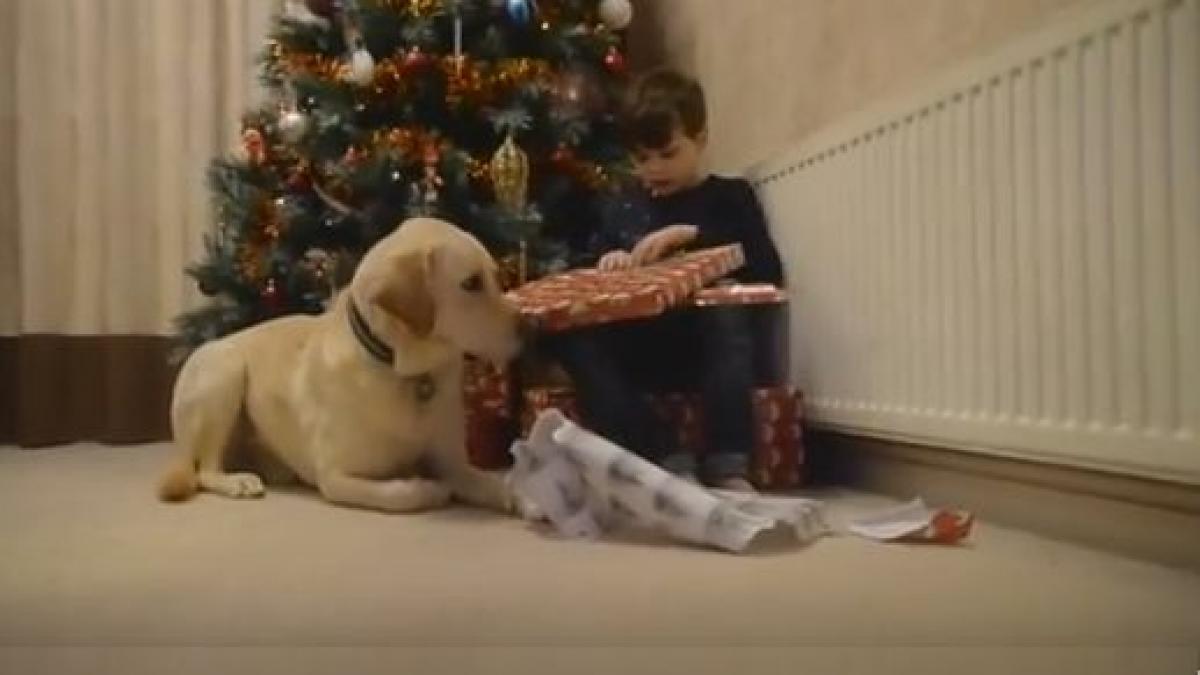 momentul emotionat in care un baietel cu autism deschide pentru prima data cadourile de la mos