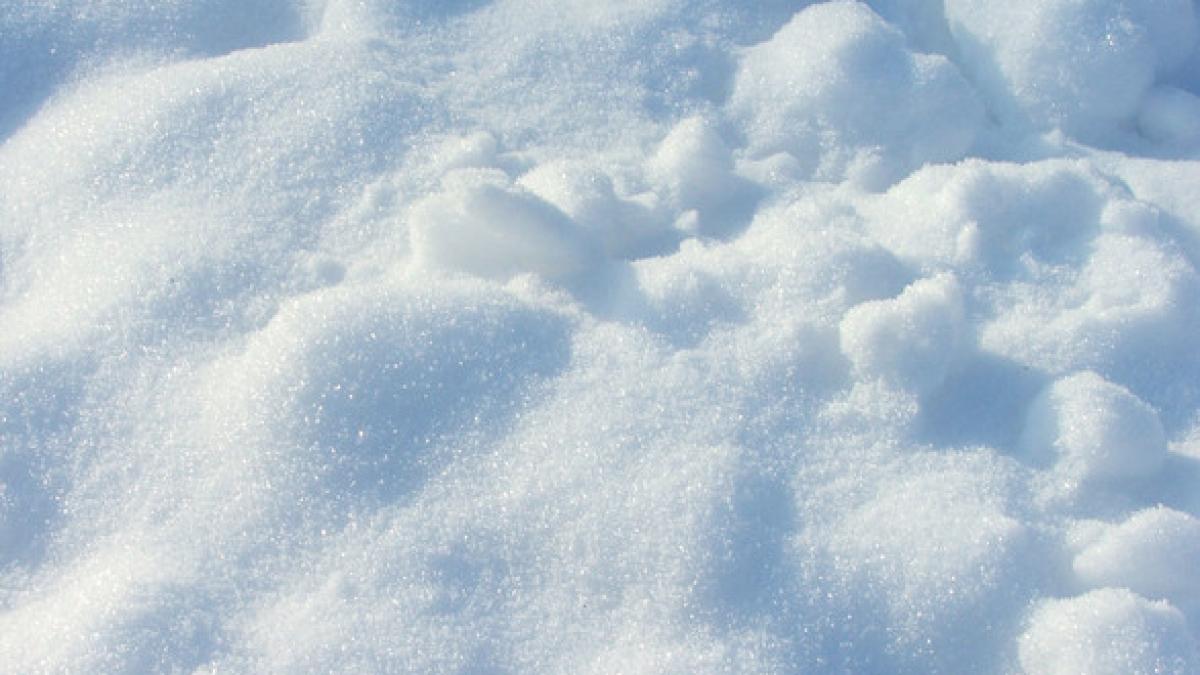 cele mai abundente ninsori din ultimii 50 de ani