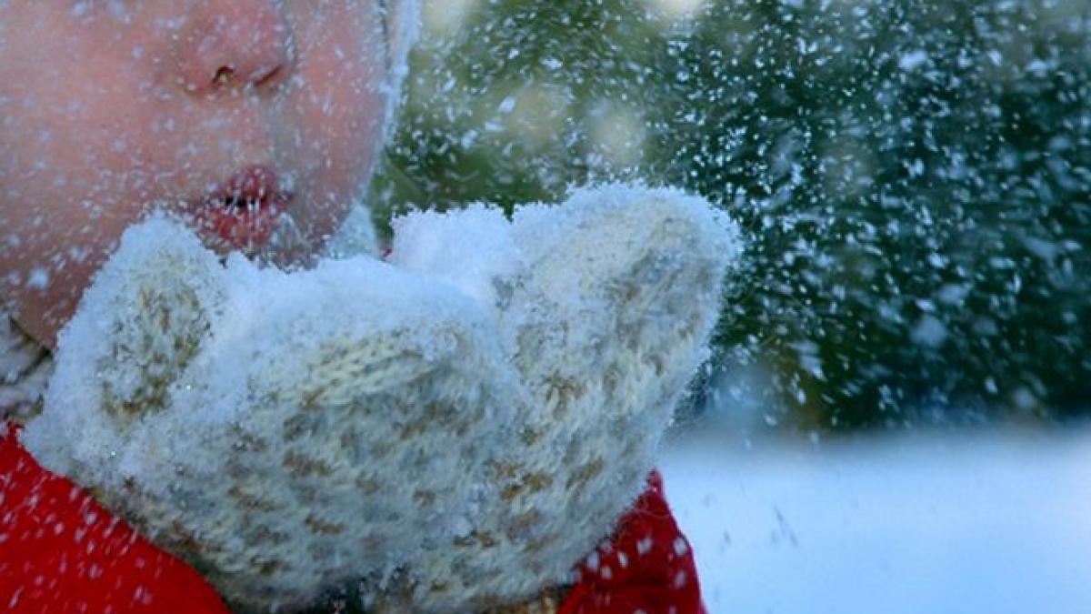 a inceput sa ninga in bucuresti