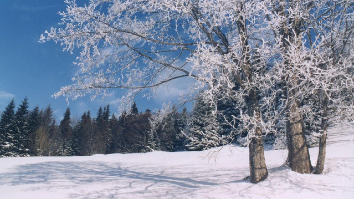 surpriza meteorologilor in pragul noului an prognoza pentru urmatoarele doua saptamani