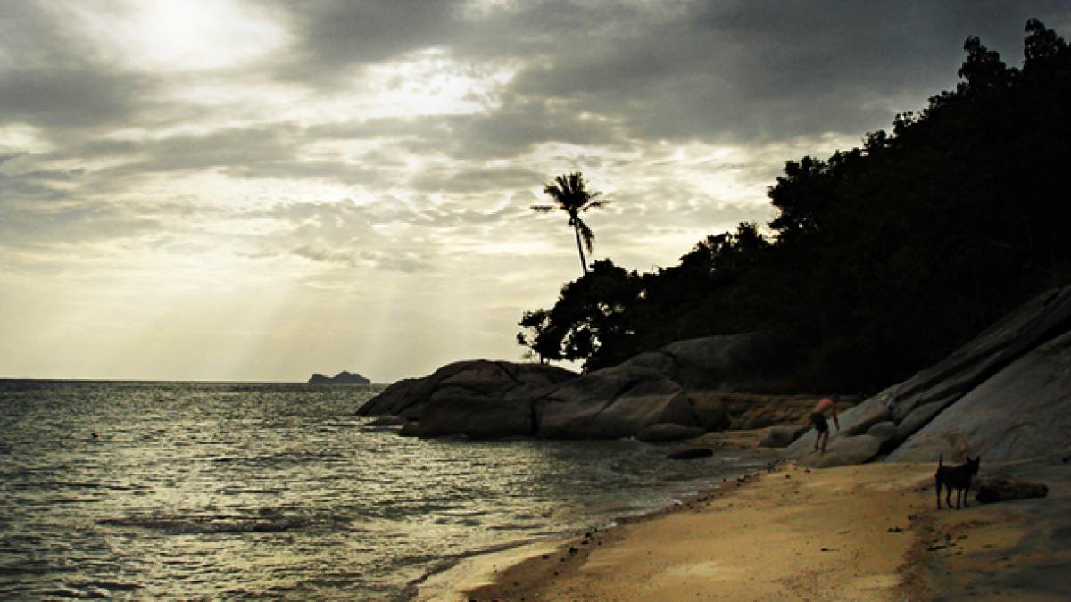 povestea celei mai bogate femei din romania