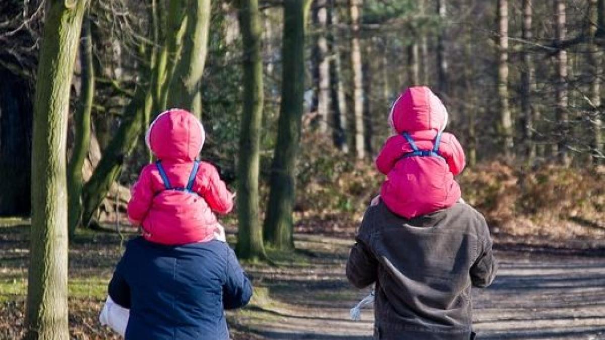 gemeni poveste ani san diego