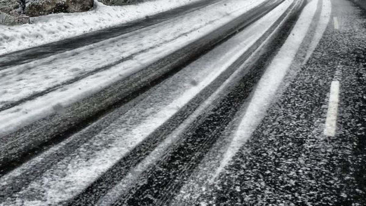 autoritati ninsori capitala cod galben