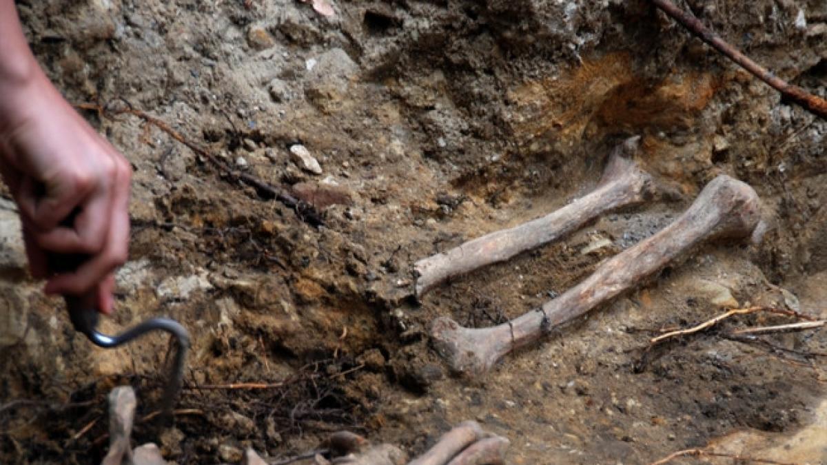 cea mai importanta descoperire arheologica din ultimul secol locul ar putea fi plin de capcane