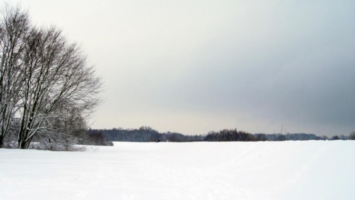 descoperire macabra pe un camp din moldova