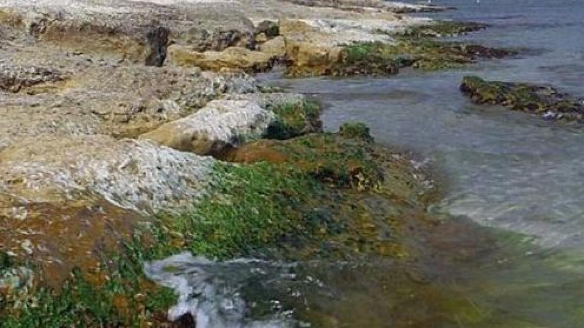 descoperire socanta pe o plaja din turcia