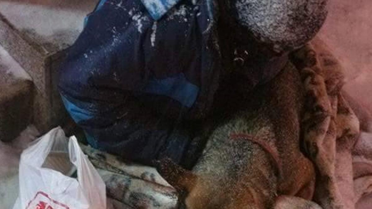 imagine cutremuratoare in plin centrul bucurestiului cine este cersetorul din imagini foto