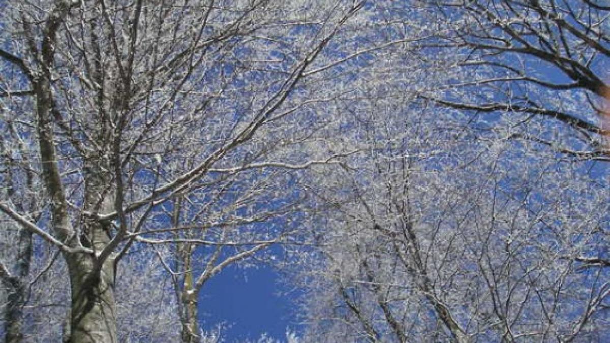 prognoza meteo vremea temperaturi