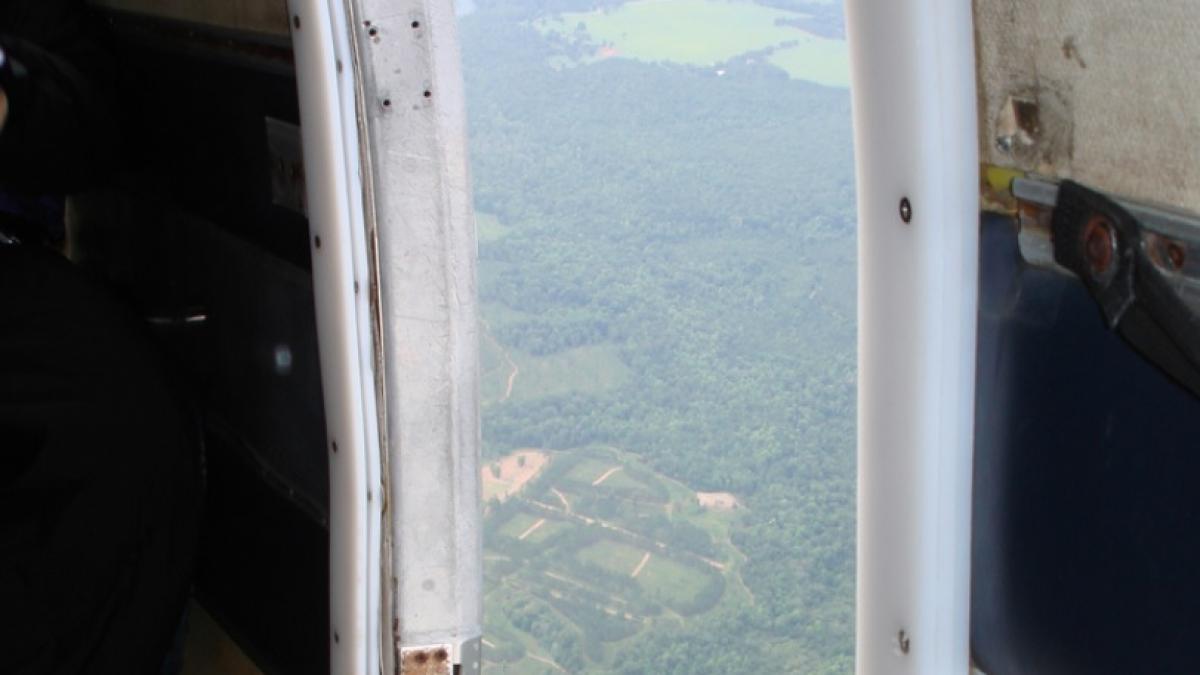 un roman a vrut sa se sinucida aruncandu se din avion
