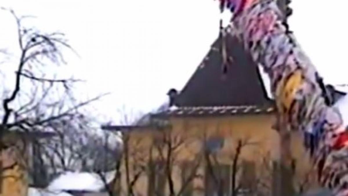 boboteaza dambovita morteni geavrele