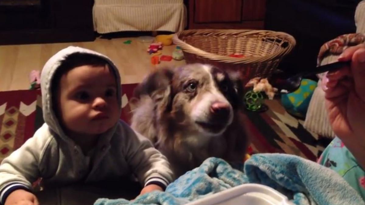 ce raspuns primeste o mama care incearca sa si convinga fiul sa rosteasca primele cuvinte nu te