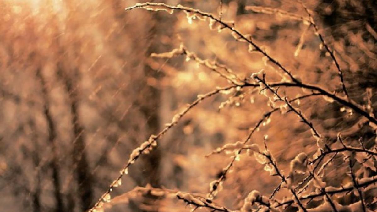 cod galben de ploi abundente si vant puternic